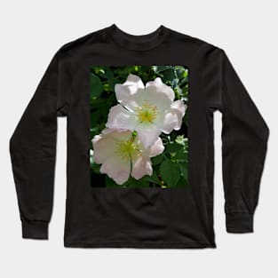 Wild Rose Long Sleeve T-Shirt